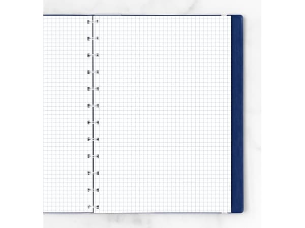 Filofax 162905, 210 x 297 mm (A4), 100 g/m², 210 mm, 297 mm