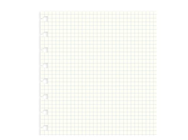 Filofax 162905, 210 x 297 mm (A4), 100 g/m², 210 mm, 297 mm
