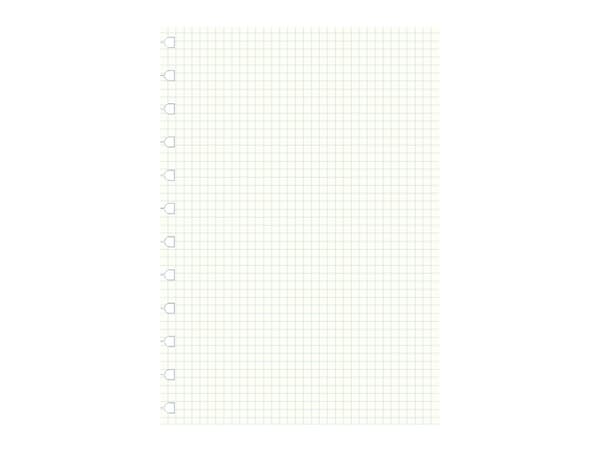 Filofax 162905, 210 x 297 mm (A4), 100 g/m², 210 mm, 297 mm