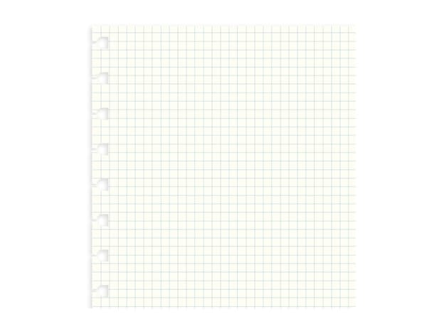 Filofax 162905, 210 x 297 mm (A4), 100 g/m², 210 mm, 297 mm