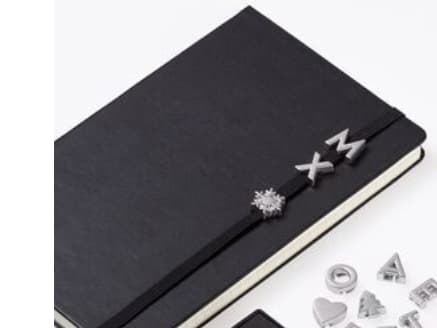 Moleskine Pins N hopea