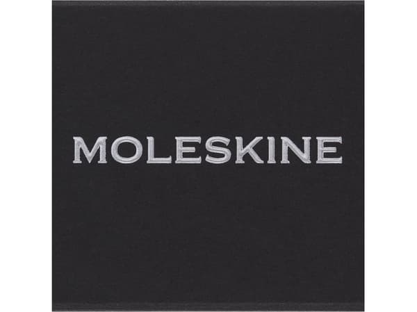 Moleskine Pins N hopea