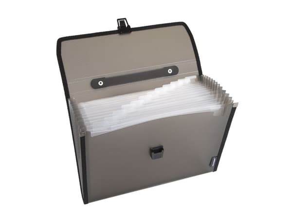 Hjemmerakiv Docusmart A4 PP Assorterat Gennemsigtig og Røg - (10 stk.)