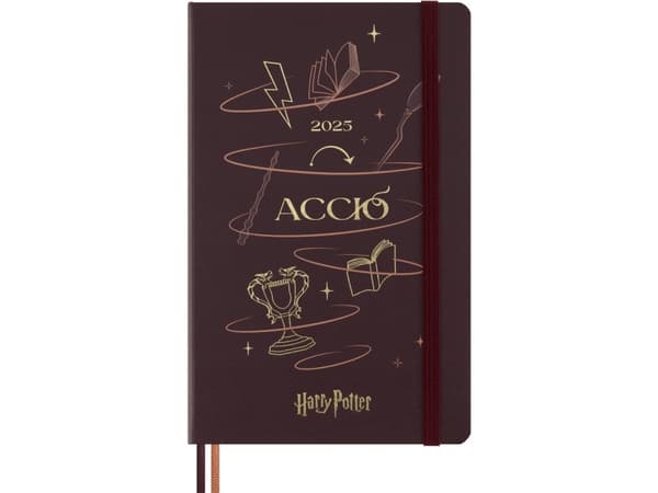 Classic Hard 12M Daily Large Harry Potter 2025