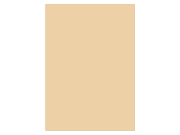 Pahvi A4 170 grammaa Beige 10 arkkia