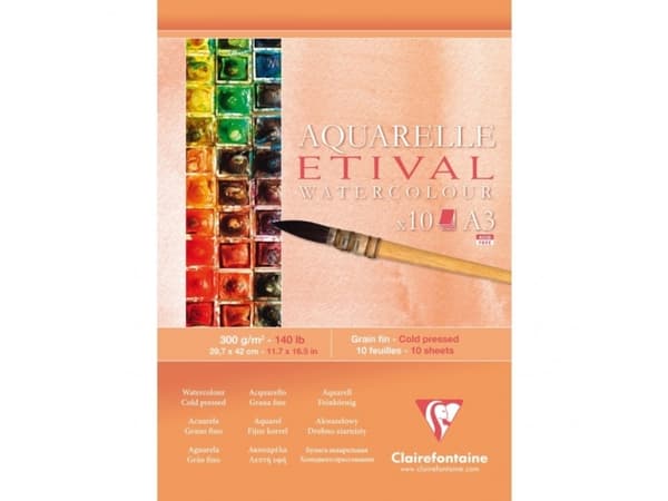 Clairefontaine 96301C, Taidepaperi, 300 g/m², 10 arkkia