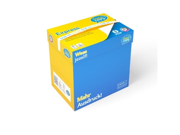 Pioneer Kopipapir Data Copy A4 hvid 100g - (500 ark)
