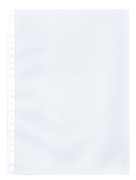 Beaphar rentouttava kaulapanta koirille - 65 cm