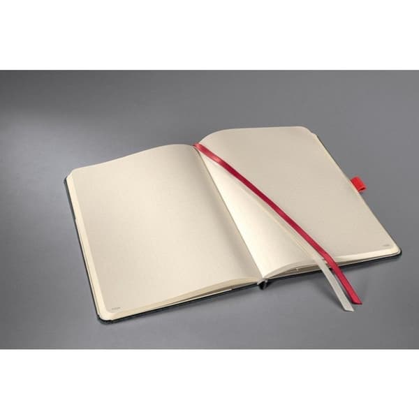 Beaphar rentouttava kaulapanta koirille - 65 cm