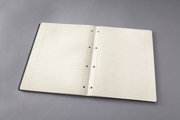 Beaphar rentouttava kaulapanta koirille - 65 cm