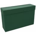 Miniatyrbillede 2 af 2: Folder Mariola Green Din A4