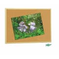 Miniatyrbild 2 av 2: Cork board Faibo 40 x 60 cm (5 Units)