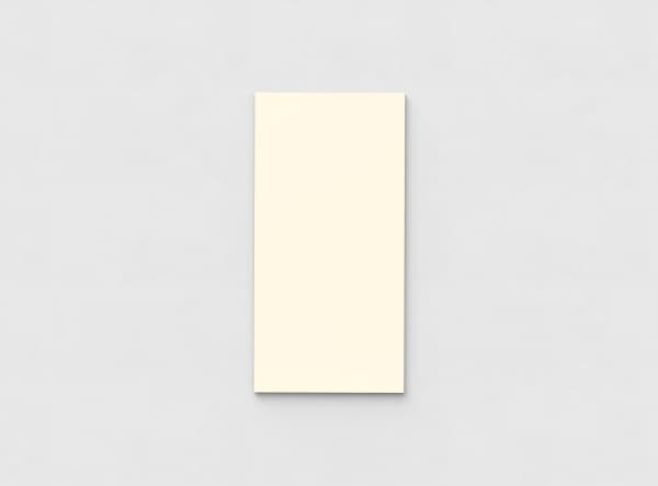 Mood Wall glastavle 750x1500 mm