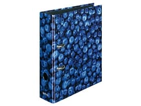Herlitz 11080660, papper, Multifärg, A4, 8 cm, 1 styck