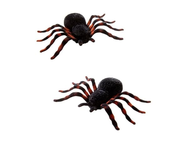 Hämähäkit, 10 cm