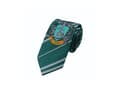 Miniatyrbilde 2 av 5: Slytherin kappe med slips