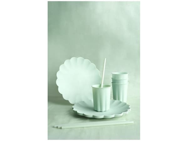 Salvia plastsugrör 23cm 12st