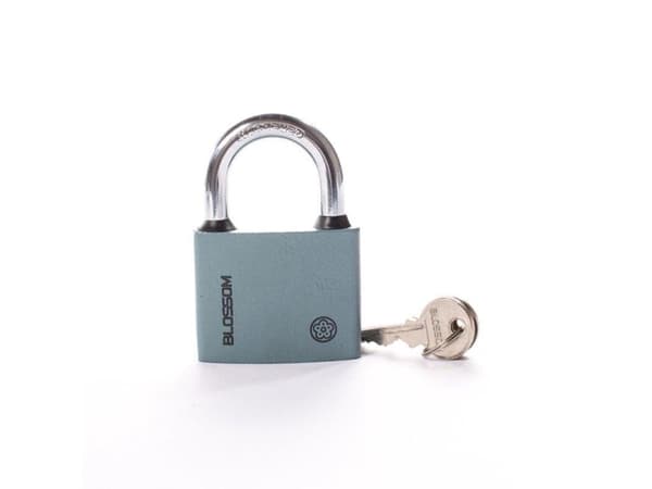 Blossom Padlock Bc2963