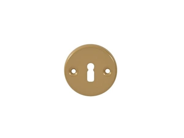 Barcz Door Keyhole Circle Straw-Colour 100