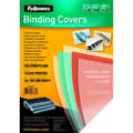 Miniatyrbillede 1 af 2: Binding covers Fellowes Futura Transparent A4 Plastic (100 Units)