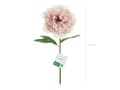 Miniatyrbild 5 av 5: Rosa Bonderos, 1 st