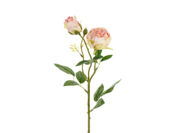 Lys rosa rose, 1 stk