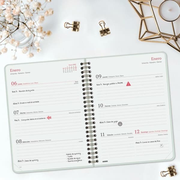 Diary Finocam ALMA Mint A5 15,5 x 21,2 cm 2025
