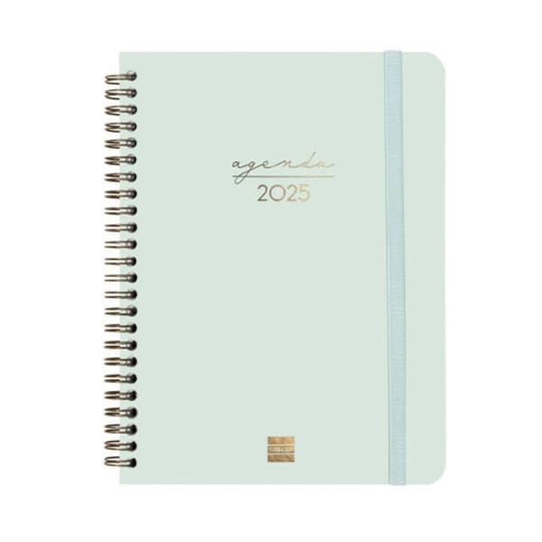 Diary Finocam ALMA Mint A5 15,5 x 21,2 cm 2025