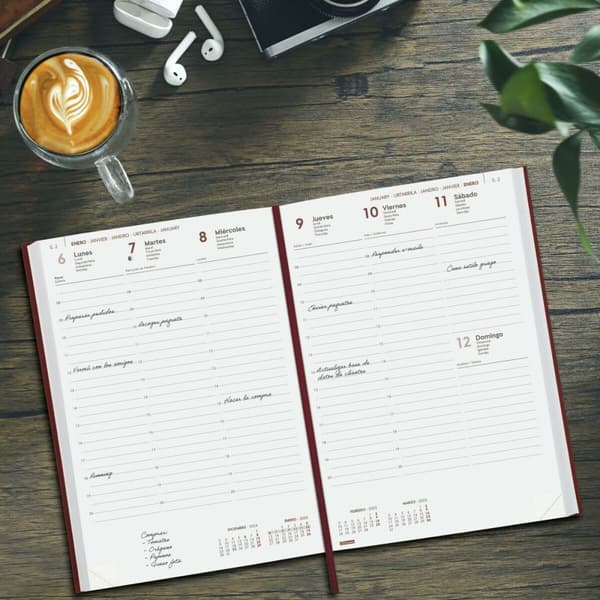 Diary Finocam DYNAMIC MILANO Y11 Burgundy 16,5 x 24 cm 2025
