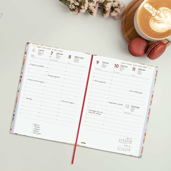 Diary Finocam DYNAMIC BERLIN Y10 A5 14 x 20,4 cm 2025