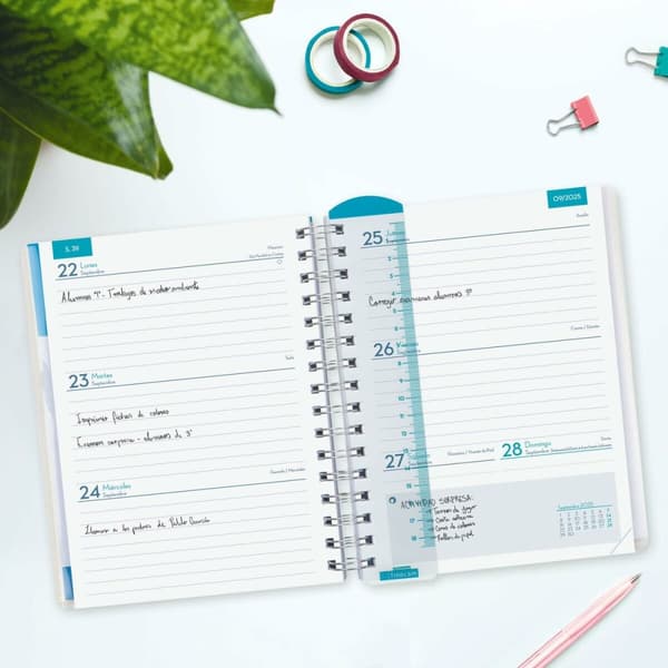 Diary Finocam