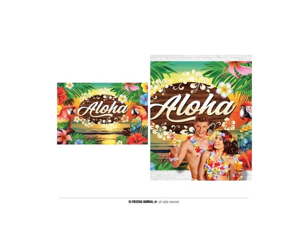 Hawaii Aloha-banner