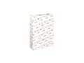 Miniatyrbilde 4 av 5: Kopipapir Xerox Colotech+ Coated gloss A3 170g 250ark/pak