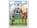 Miniatyrbild 1 av 4: Ravensburger 4049817655030, 7 År, Pojke/flicka, Multi, 1 styck, 260 mm, 200 mm