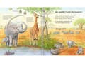 Miniatyrbild 3 av 5: Ravensburger 978-3-473-32891-8, Djur, Tyska, 24 sidor