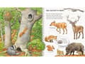 Miniatyrbild 4 av 5: Ravensburger 978-3-473-32891-8, Djur, Tyska, 24 sidor