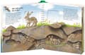 Miniatyrbilde 3 av 3: Ravensburger 978-3-473-32874-1, Dyr, Tysk, 16 sider