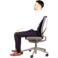 Miniatyrbillede 5 af 5: Fellowes Mesh Back Support Professional Series, justerbar