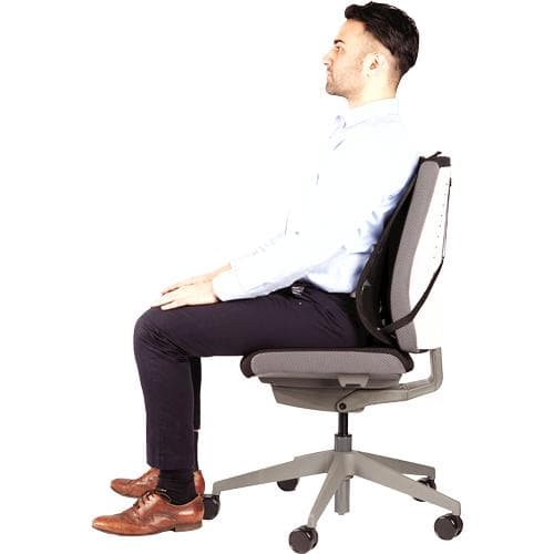 Fellowes Mesh Back Support Professional Series, justerbar