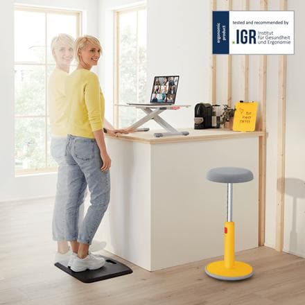 Leitz 65320085 stående skrivebord Grå