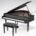 Pikkukuva 7 / 8: Pianojakkara