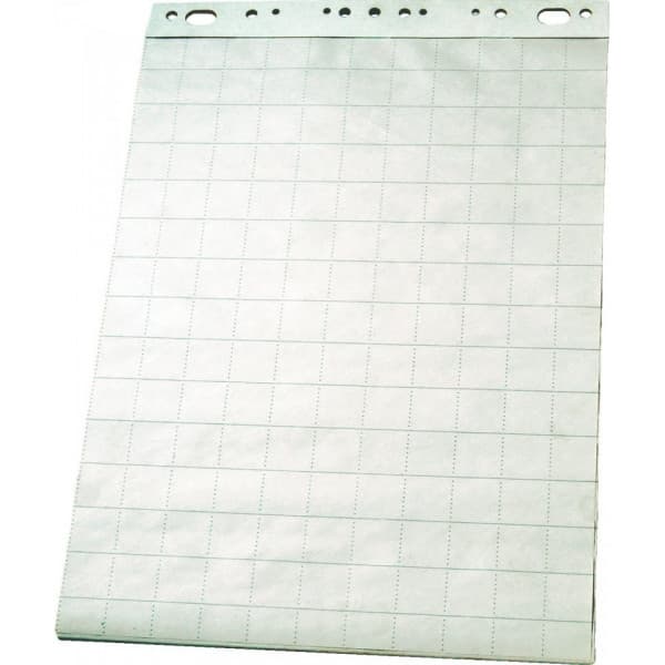 Esselte Economy -lehtiötaulupaperi, ruudutettu, 59 x 80 cm