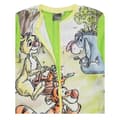 Pikkukuva 4 / 4: Winnie the Pooh Childrens/Kids Character Sleepsuit