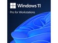 Miniatyrbilde 2 av 2: Microsoft Windows 11 Pro for Workstations, Lisens, Tysk, 1 lisenser, 64 GB, 4 GB, 1 GHz