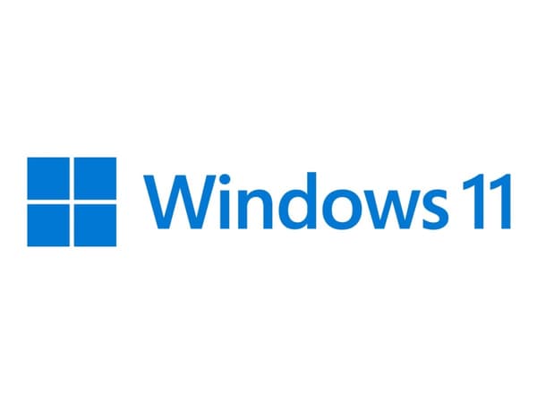 Windows 11 Pro - Boxpaket - 1 licens - flashdrive - 64-bit - svenska