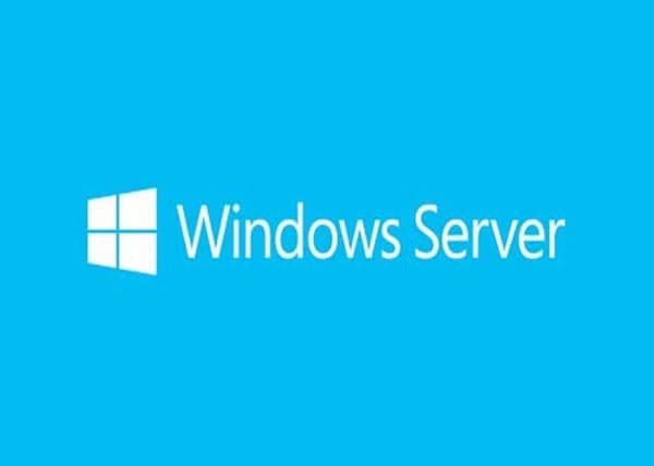 microsoft sb win server cal 2019 french 1pk 5clt enhet cal fr noir Customization PC SB WIN SERVER CAL 2019 FRENCH 1PK 5CLT