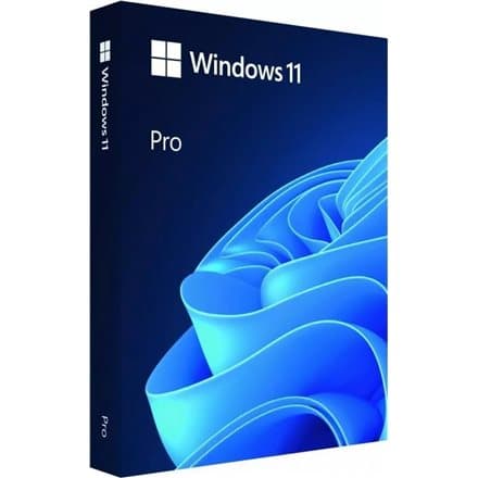 Microsoft Windows 11 Pro ENG Intl USB FPP