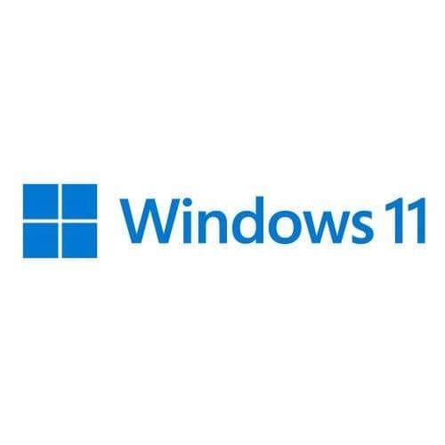 Microsoft Windows 11 Professionell