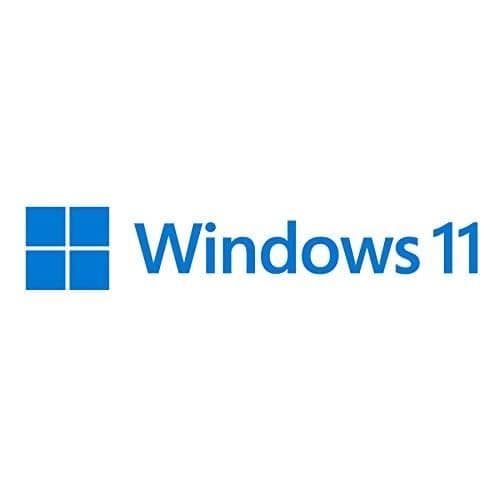 MICROSOFT WINDOWS 11 PRO FÖR WORKSTATIONS 1 LICENS(ER) (HZV-00107)