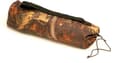 Miniatyrbillede 5 af 6: Buteo Camera Shelter telt Falco Mark III